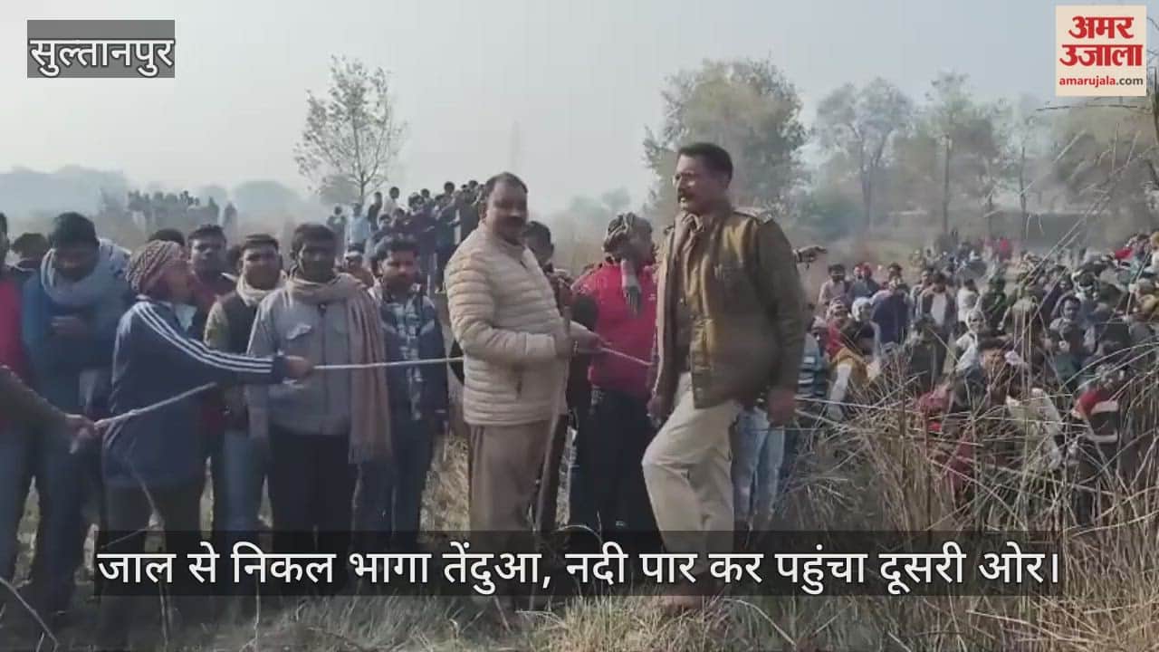 सुल्तानपुर में जाल से निकल भागा तेंदुआ, नदी पार कर पहुंचा दूसरी ओर