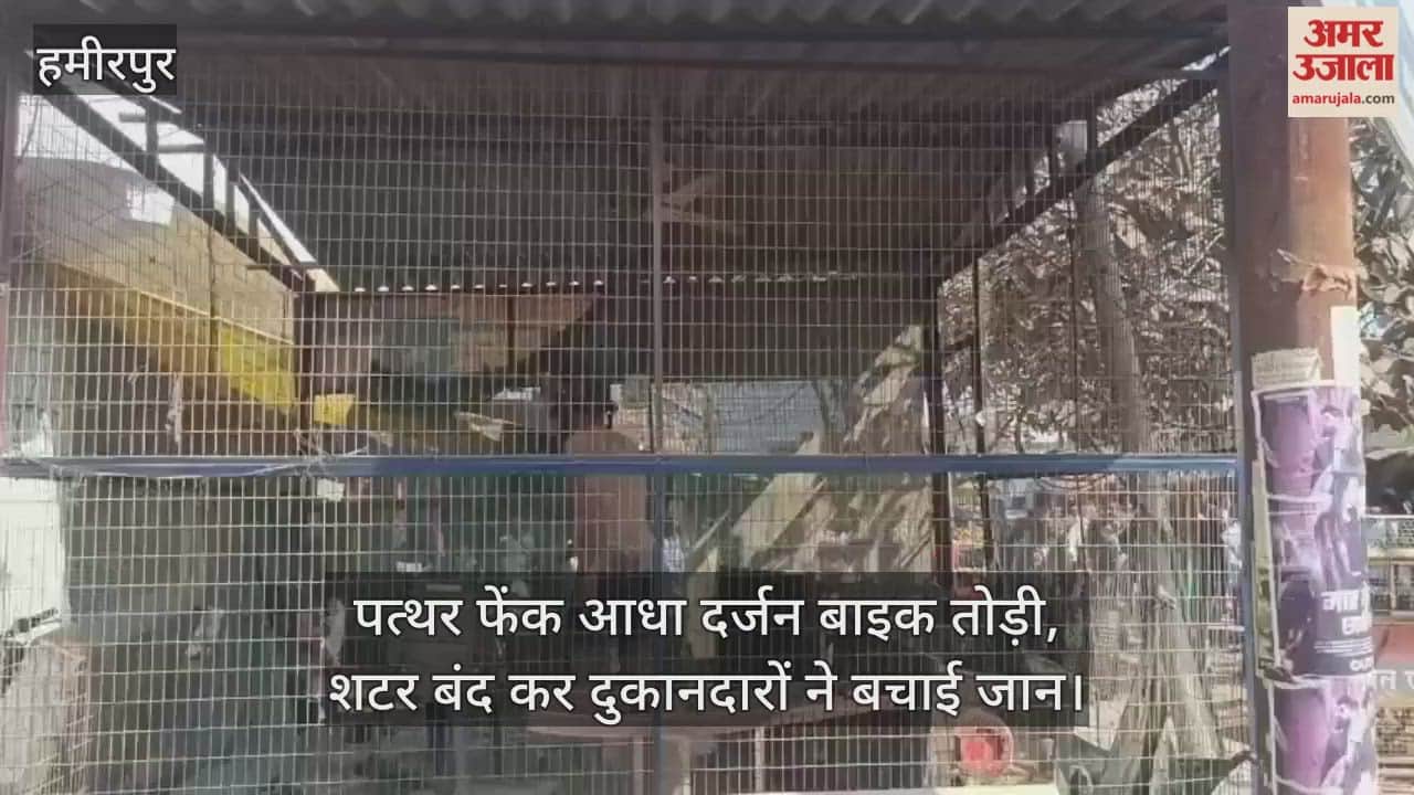 हमीरपुर में अर्धविक्षिप्त युवक ने पत्थर बरसा पुलिसकर्मियों को दौड़ाया