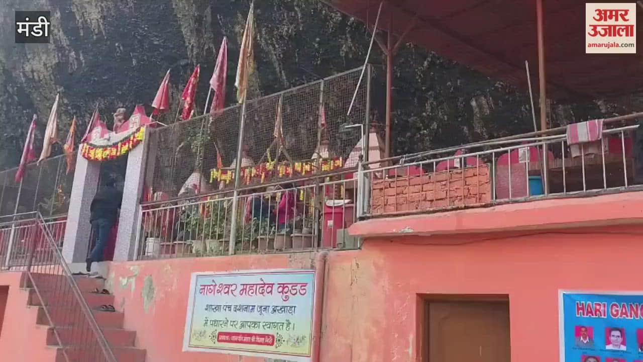 Mandi The Hindu conference and Ghee festival concluded at Nageshwar Mahadev Temple