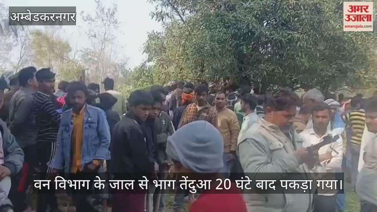 अंबेडकरनगर में वन विभाग के जाल से भाग तेंदुआ 20 घंटे बाद पकड़ा गया,हमले से युवक व वनकर्मी घायल