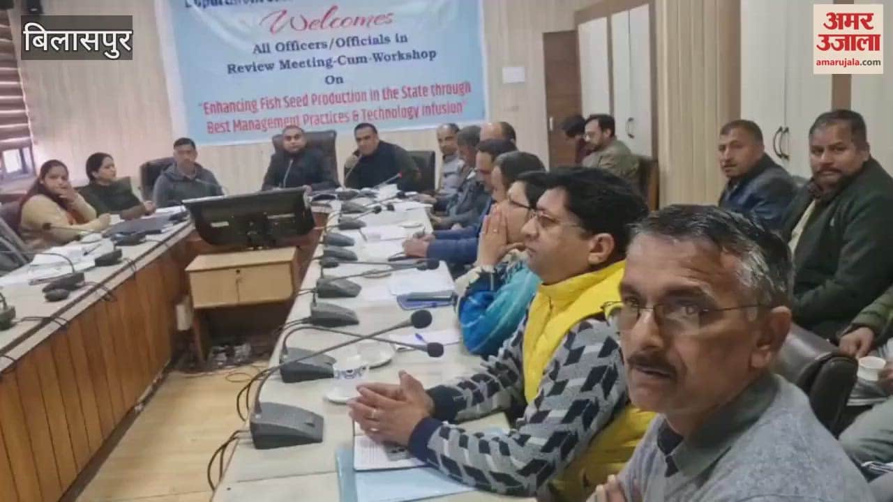 Bilaspur Preparations underway to double fish seed production in the state, with emphasis on modern technology
