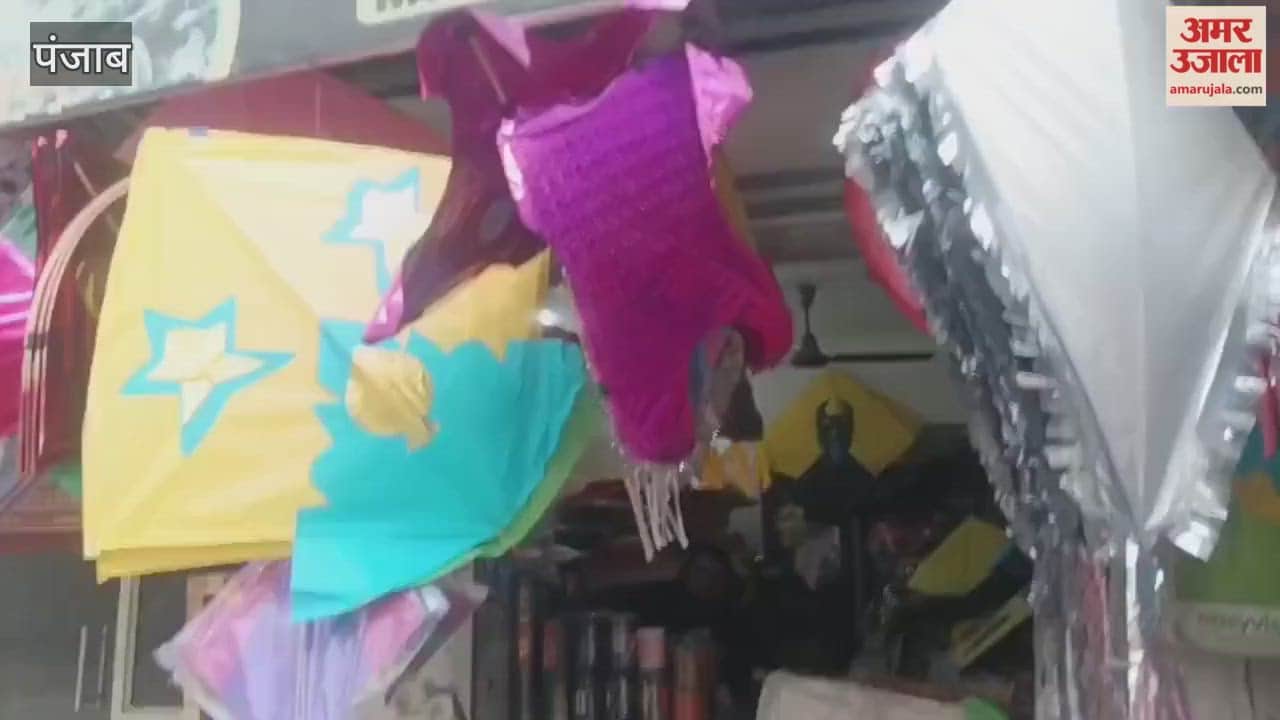 On Basant Panchami, the markets of Phagwara are abuzz with kites