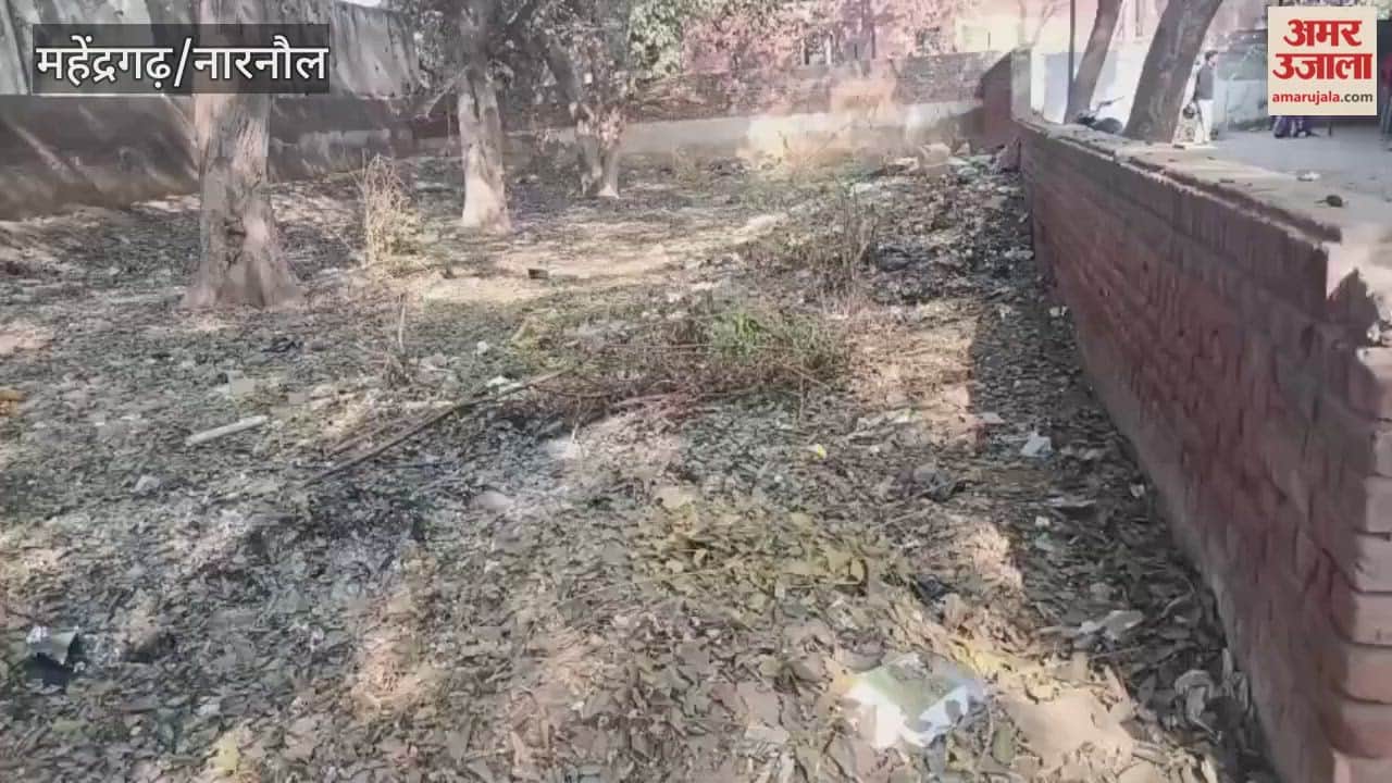 Litter spread in the hospital premises