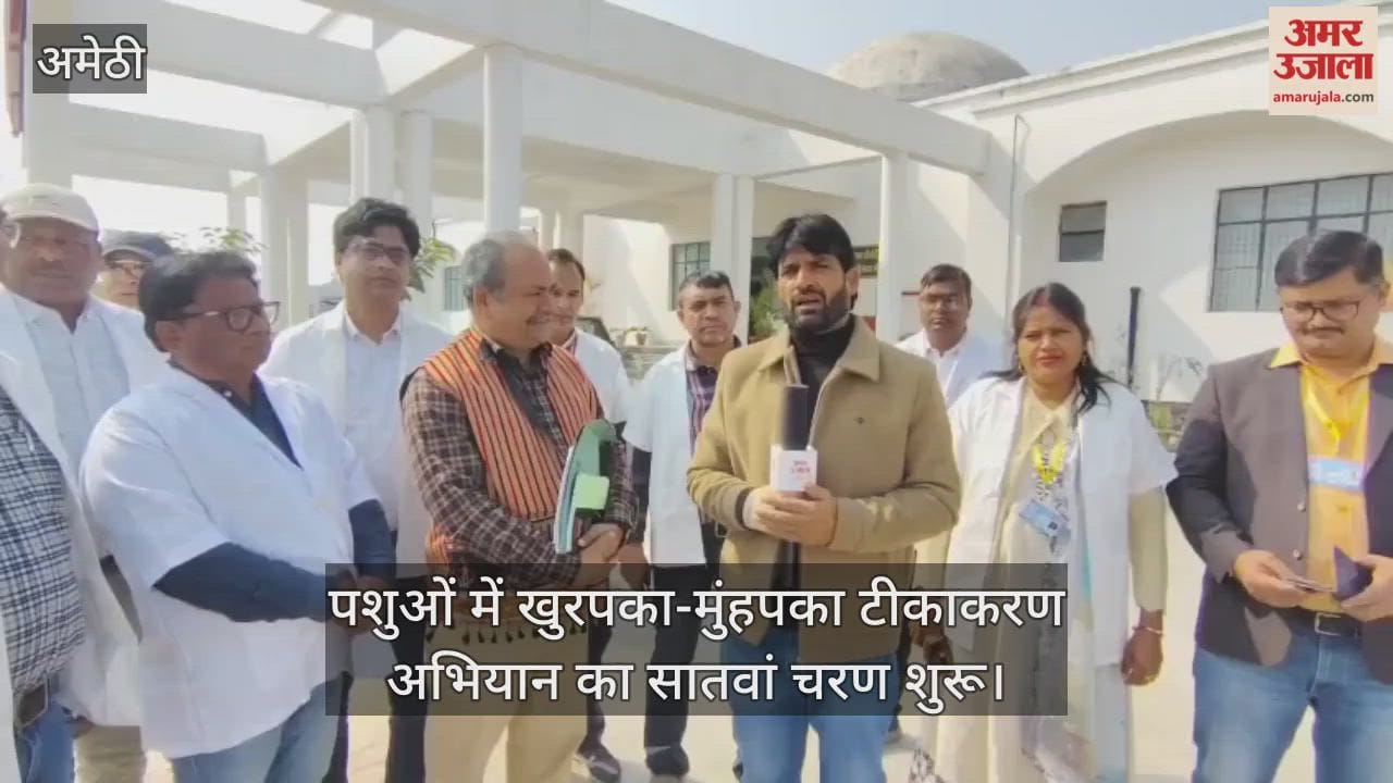 अमेठी में पशुओं में खुरपका-मुंहपका टीकाकरण अभियान का सातवां चरण शुरू