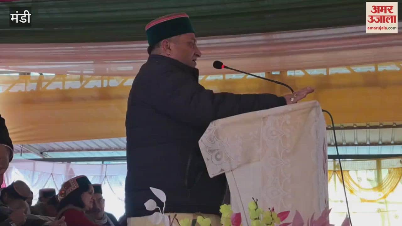 Mandi Congress state president Vinay Kumar said that Congress district presidents will be removed if they fail to perform