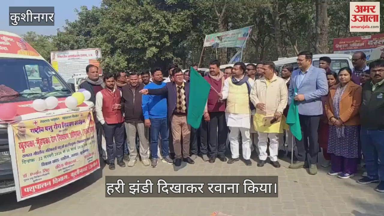 Foot and Mouth Disease vaccination campaign launched, mobile vehicles flagged off