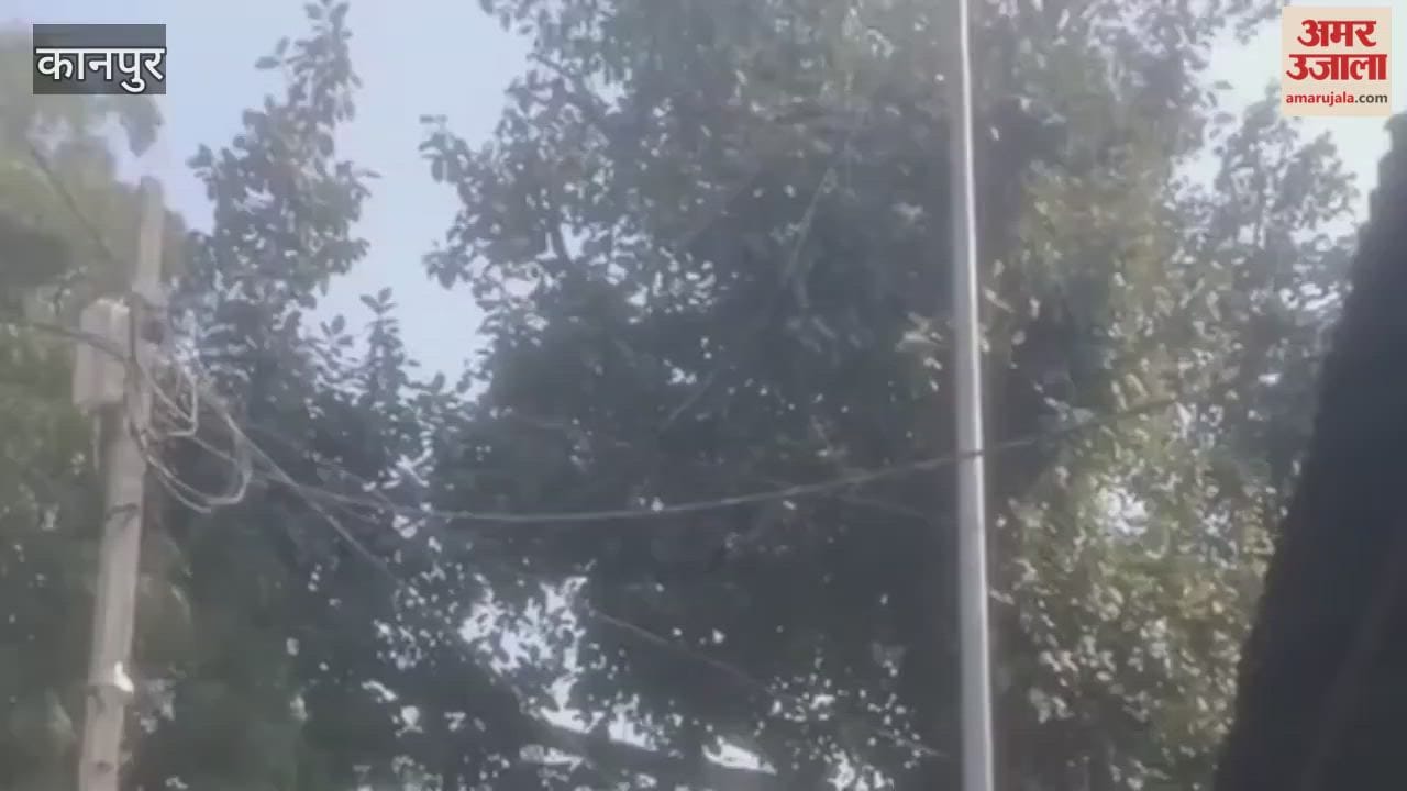 In Madepur, dangling wires are inviting disaster.