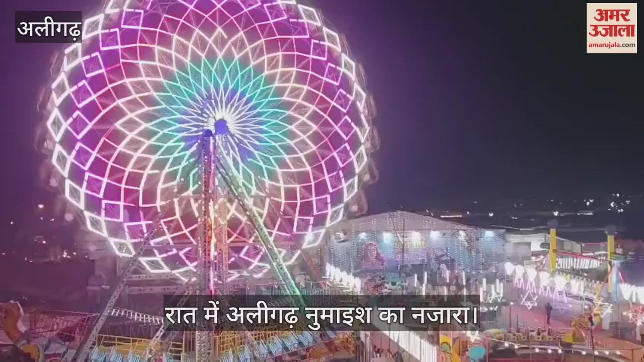 रात में अलीगढ़ नुमाइश का नजारा