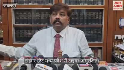 Jabalpur News: High Court raps agencies over unnatural tiger deaths in Tiger State, seeks detailed response M