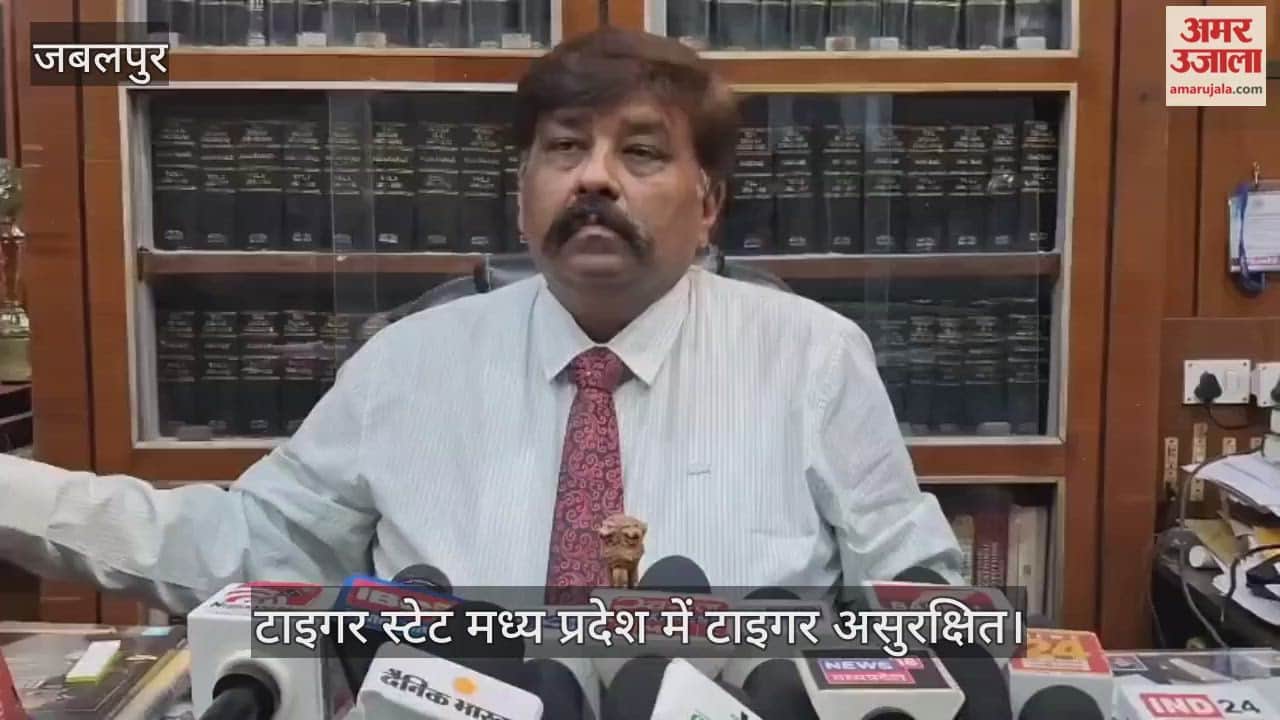 Jabalpur News: High Court raps agencies over unnatural tiger deaths in Tiger State, seeks detailed response M