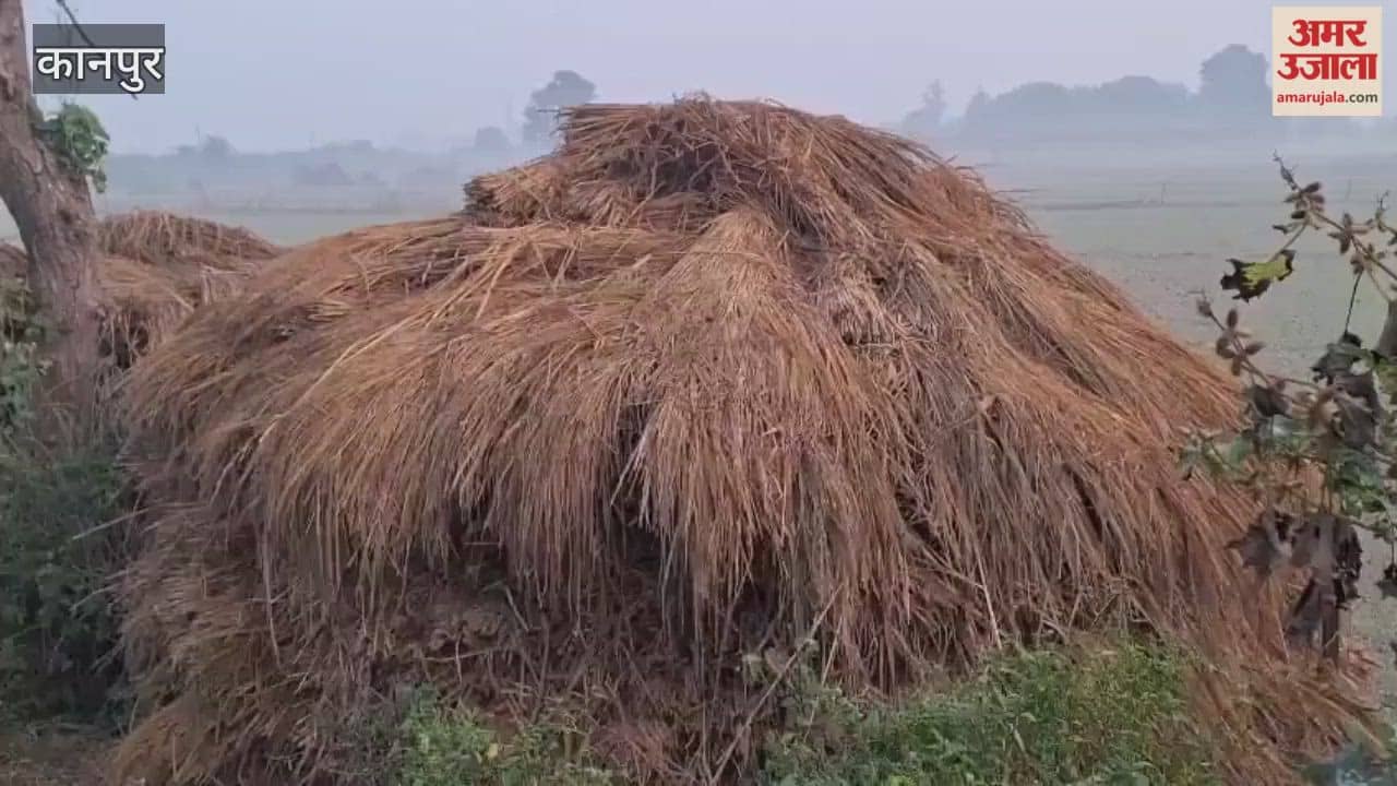 Cattle are developing mouth ulcers after eating fodder left in the open and soaked by fog