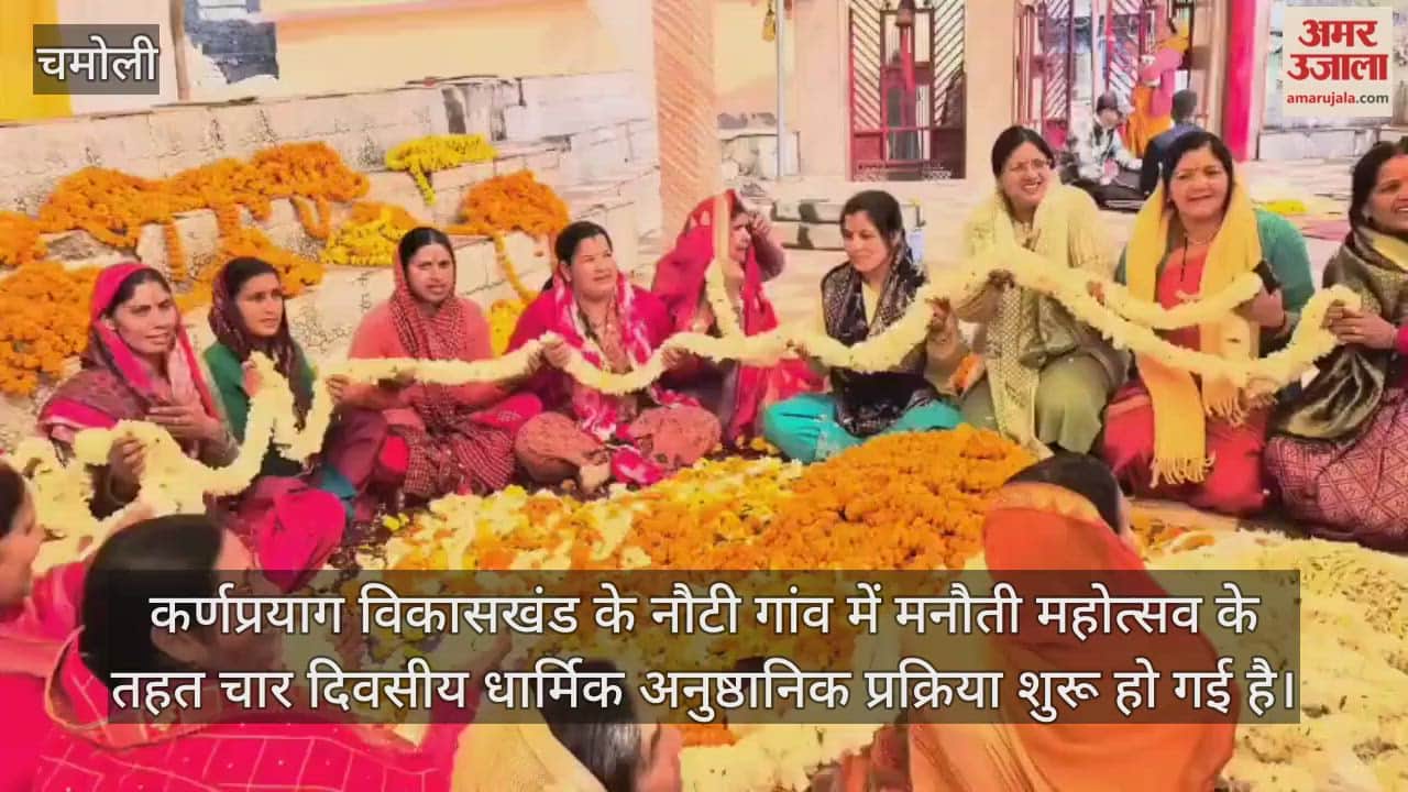 Nauti decorated for the Manauti festival rituals begin Chamoli Video News