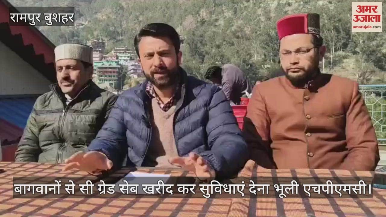 Kaul Singh Negi said: HPMC has forgotten to provide facilities to apple growers after buying C-grade apples from them.।