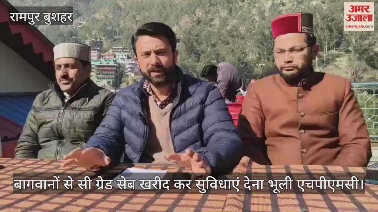 Kaul Singh Negi said: HPMC has forgotten to provide facilities to apple growers after buying C-grade apples from them.।