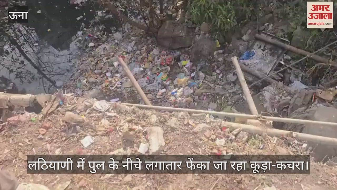 Garbage is being continuously dumped under the bridge in Lathiyani, making it difficult to pass through due to the foul smell.