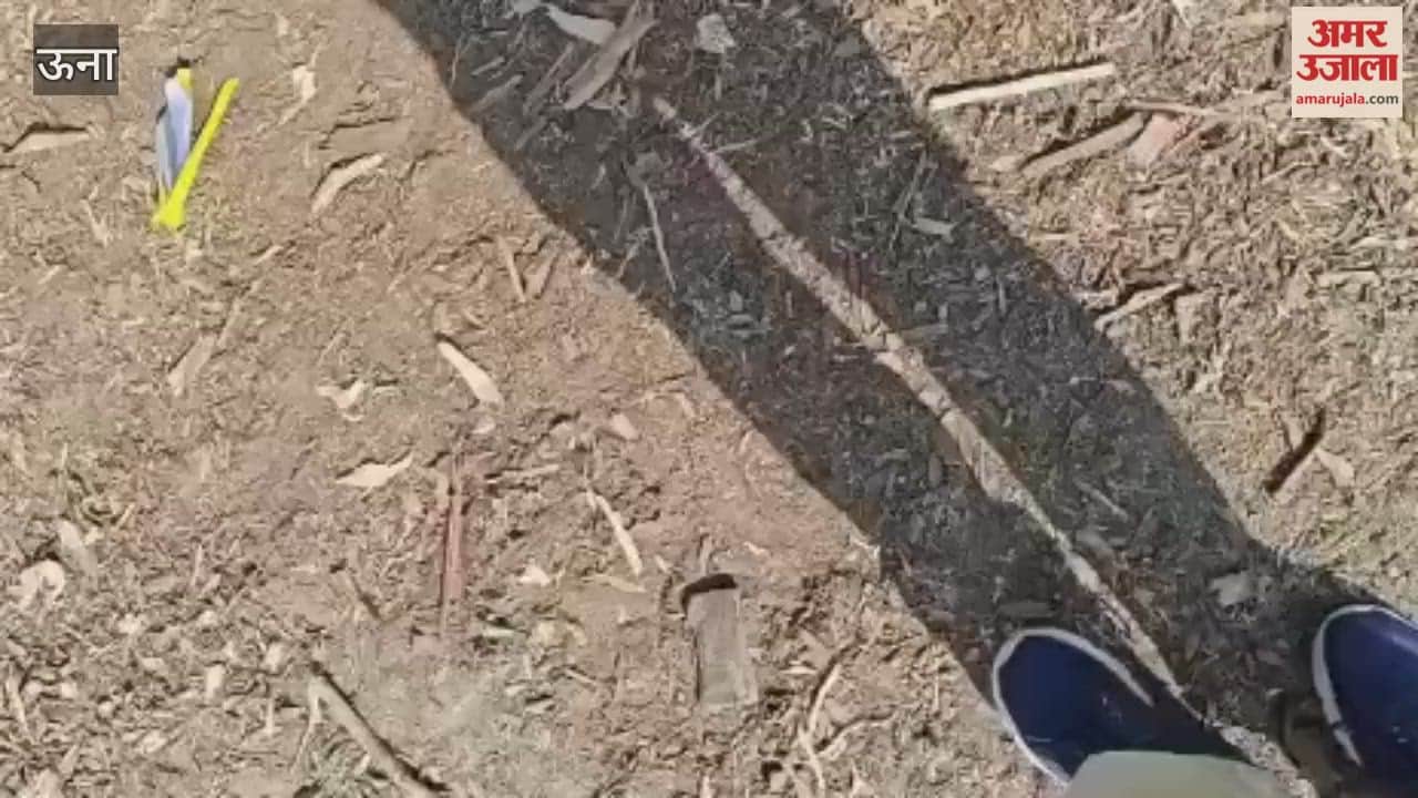 Una 30-year-old dispute resolved in Kutlehar, hundreds of families to benefit