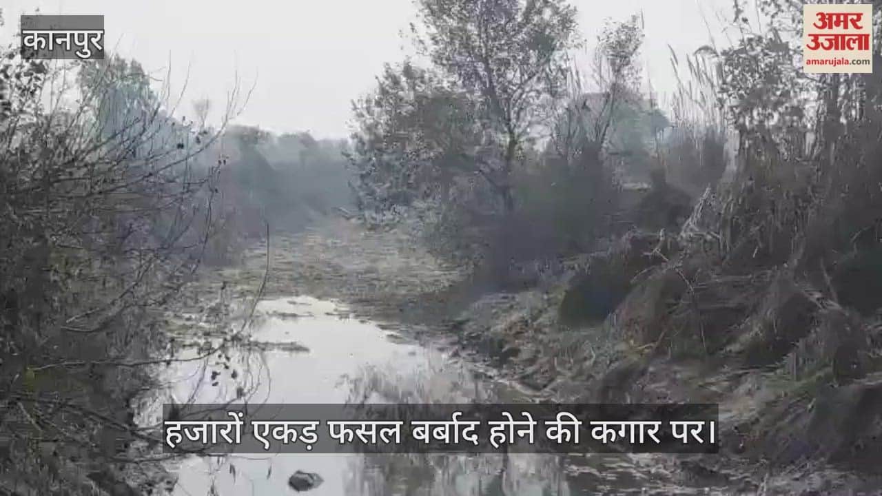 कानपुर: धरमपुर बड़ा बंबा की जलधारा टूटने से मचा हाहाकार; गेहूं की सिंचाई के समय पानी गायब