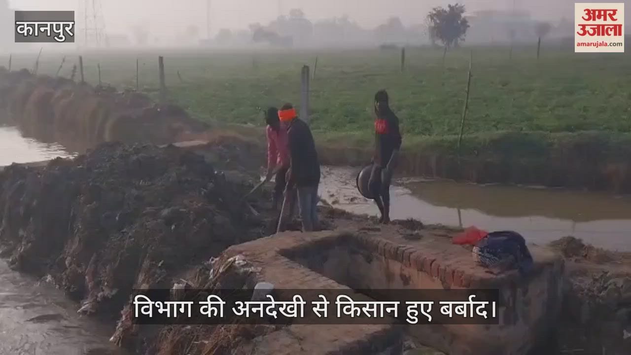 कानपुर के महिपालपुर में रजबहा की पटरी फटी, 20 बीघा आलू और लाही की फसल जलमग्न