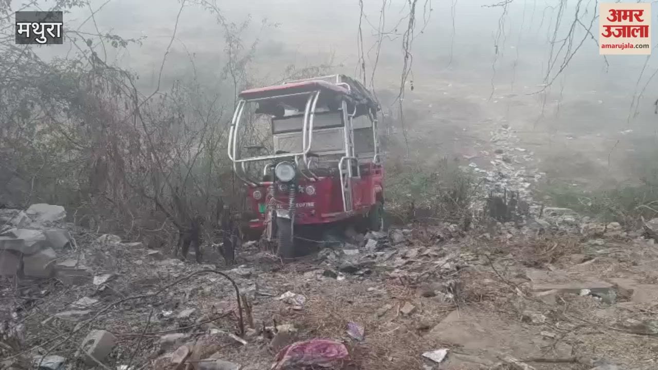 An e-rickshaw went out of control and fell into ditch by roadside, driver was injured