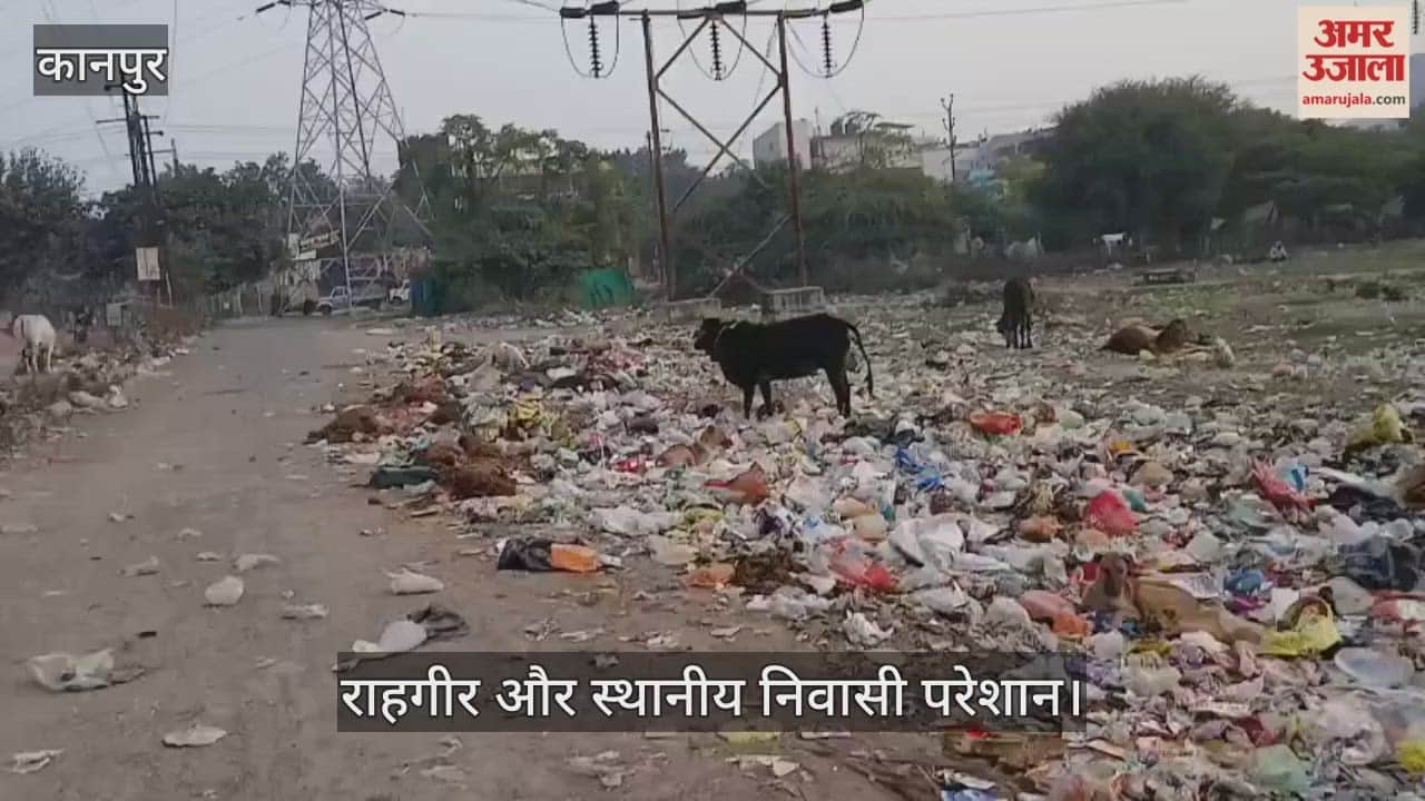 कानपुर: महाबलीपुरम मार्ग पर फैला कचरा; नगर निगम की नाक के नीचे लगा कूड़े का ढेर
