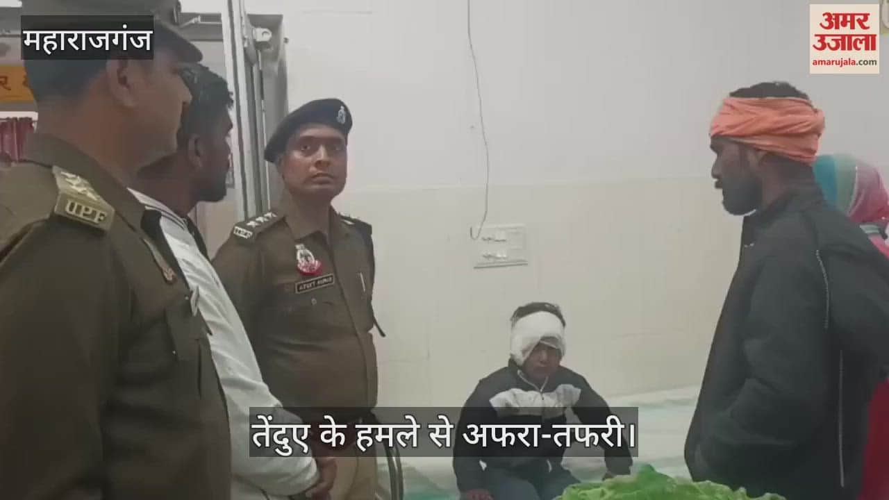 Leopard enters house and attacks, 4-year-old girl seriously injured