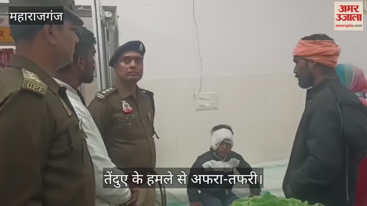 Leopard enters house and attacks, 4-year-old girl seriously injured