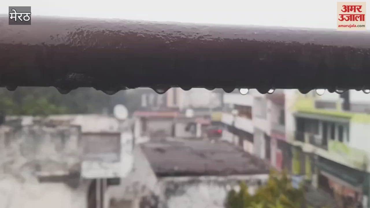 Meerut: The fun of kite flying fades amid rain