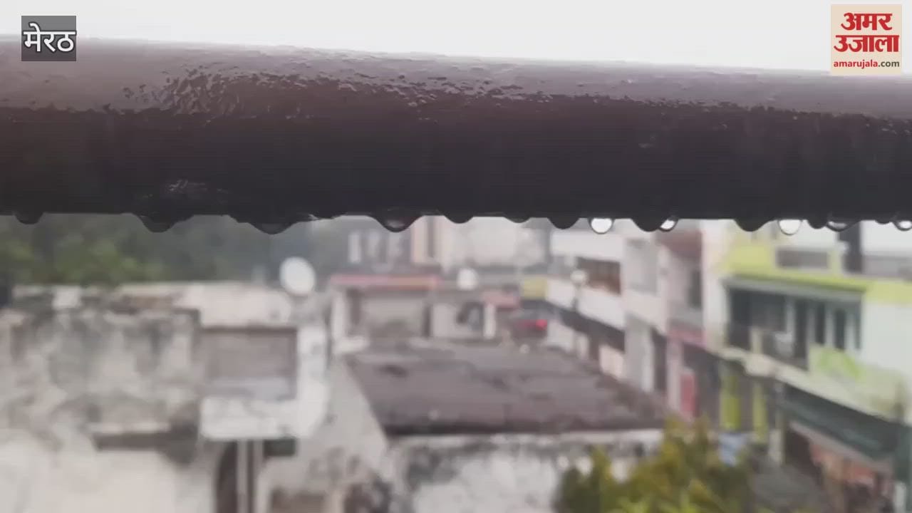 Meerut: The fun of kite flying fades amid rain