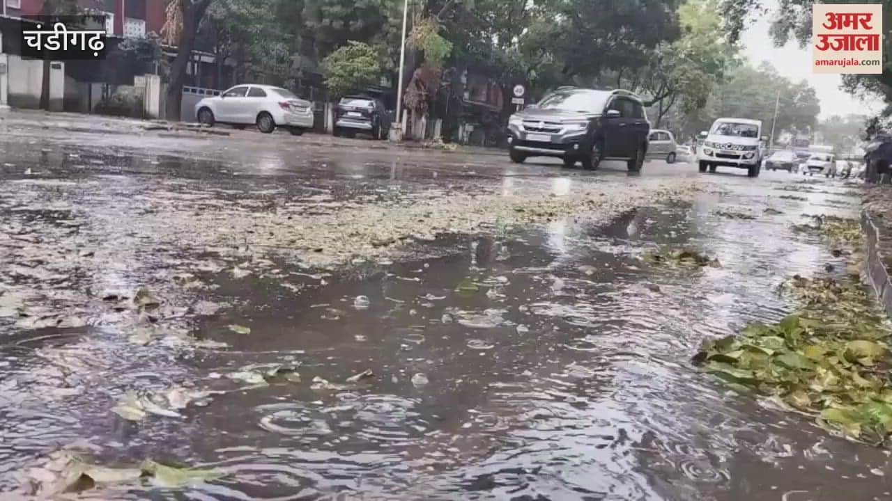Rain in Chandigarh