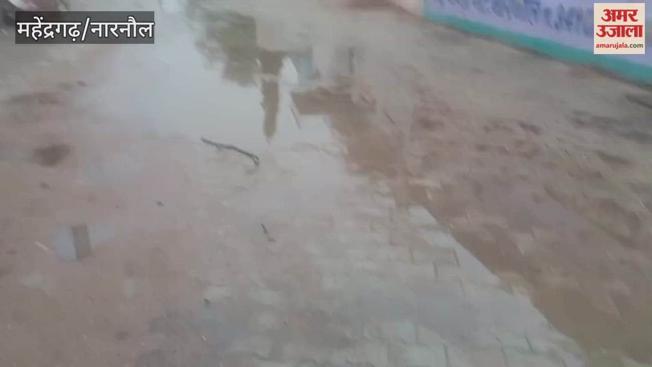 It has been raining in Narnaul since morning, and farmers fear hailstorms.
