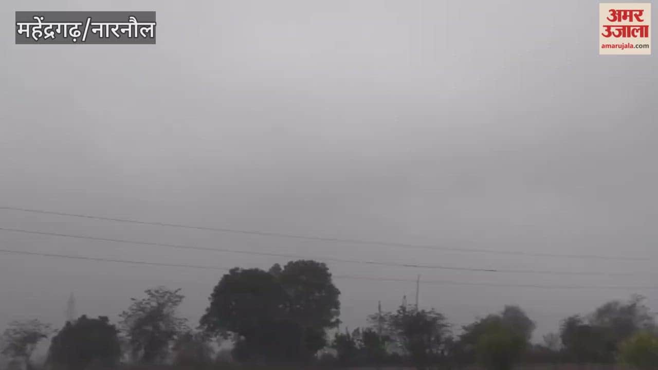 Rain started in Mahendragarh late last night, proving to be a blessing for standing crops