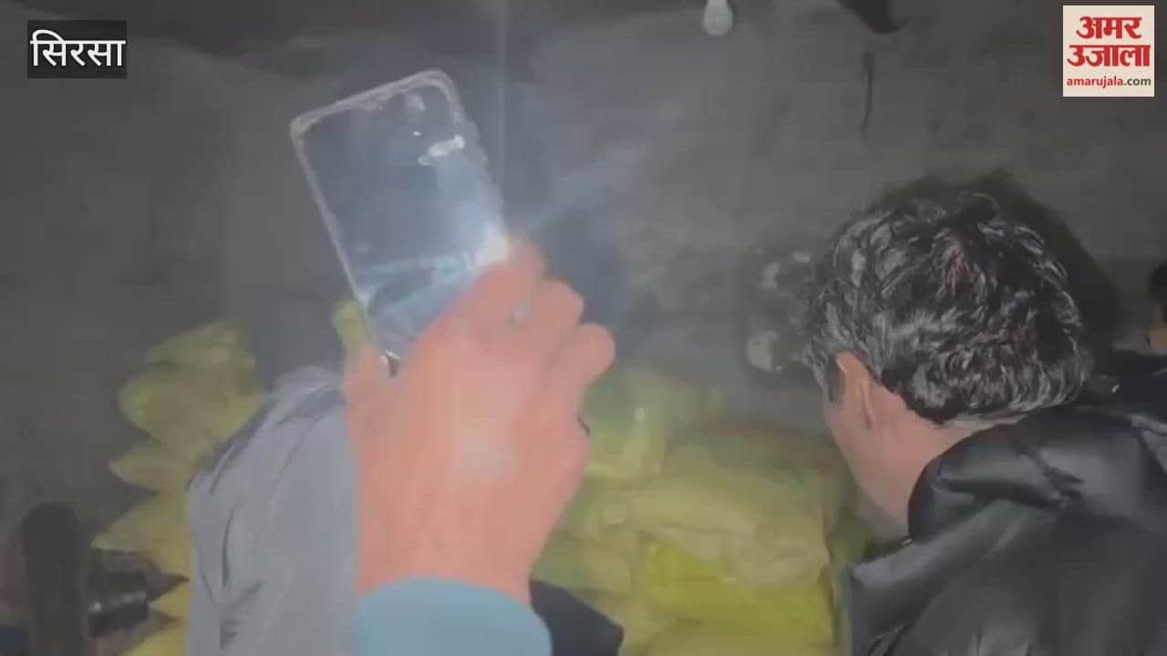 In Sirsa, farmers seized agricultural-grade urea at a cardboard and plywood factory; the department investigated and filed an FIR against the owner.