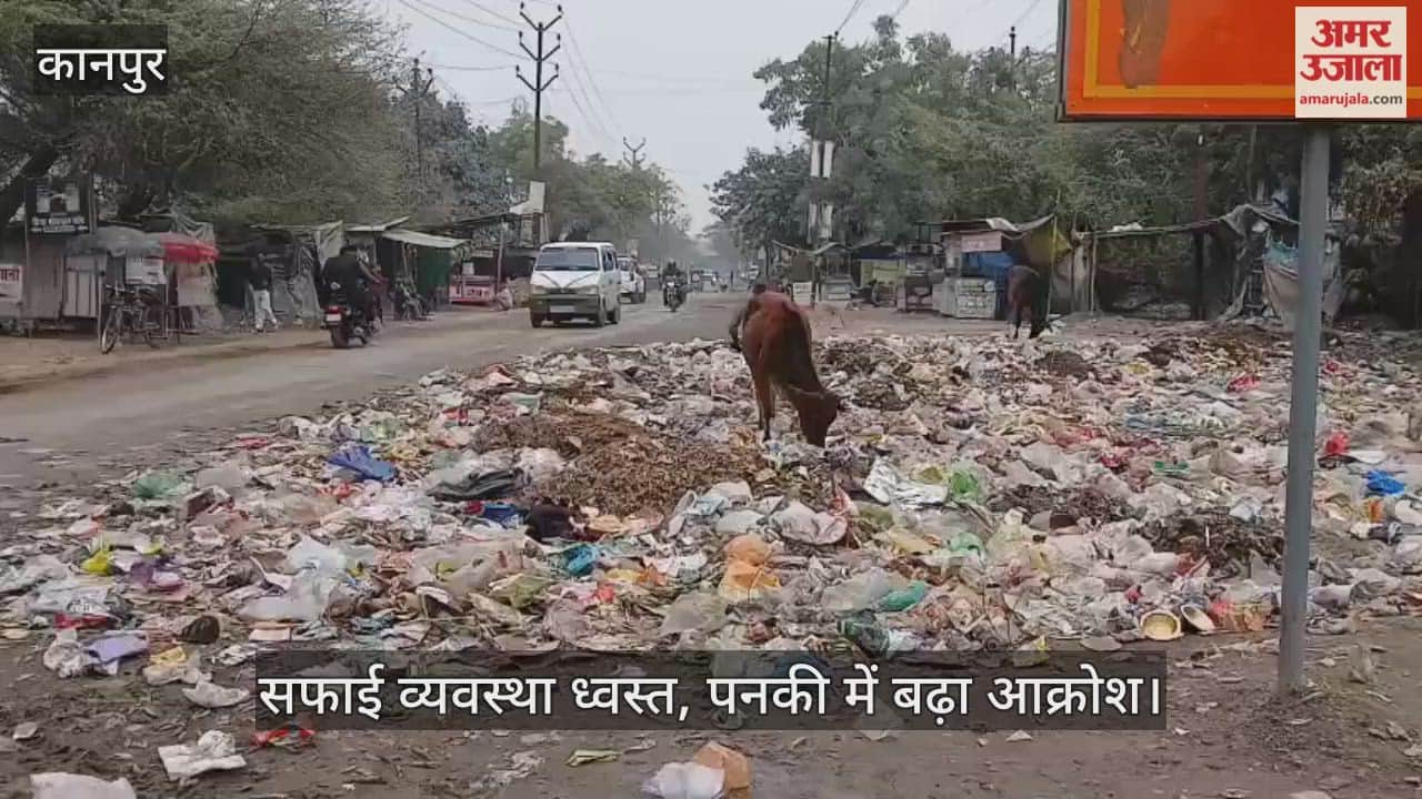 कानपुर: विद्यार्थी नगर की सड़क पर लगा कूड़े का पहाड़,  दुर्गंध और अन्ना मवेशियों ने किया जीना हराम