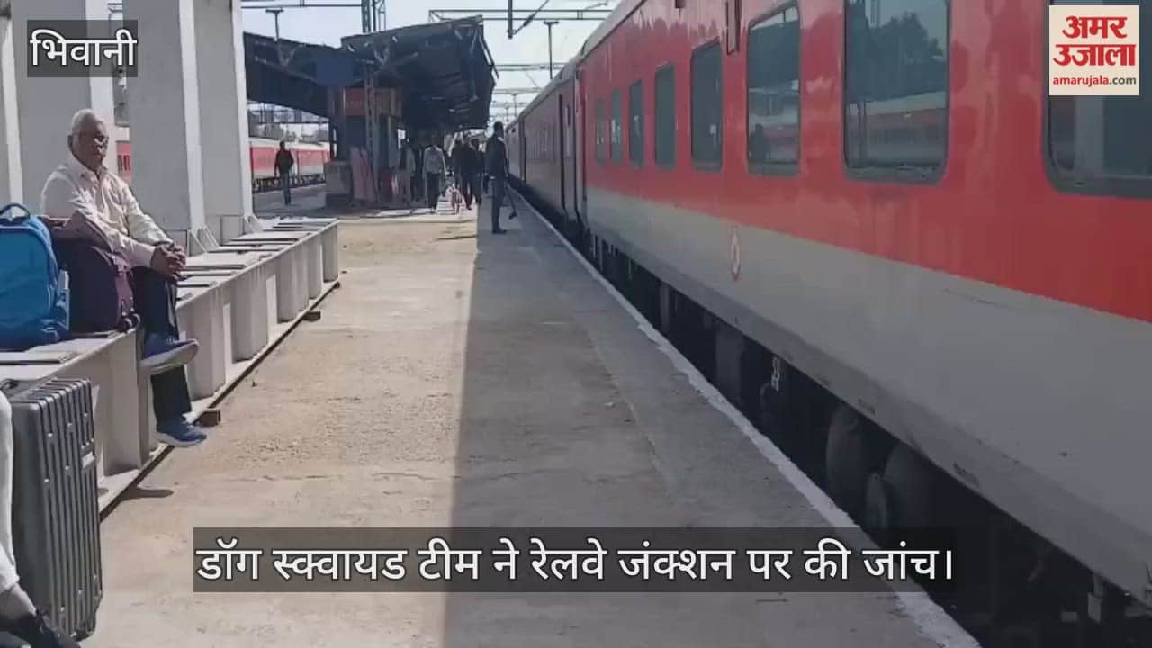 Dog squad team inspected the railway junction