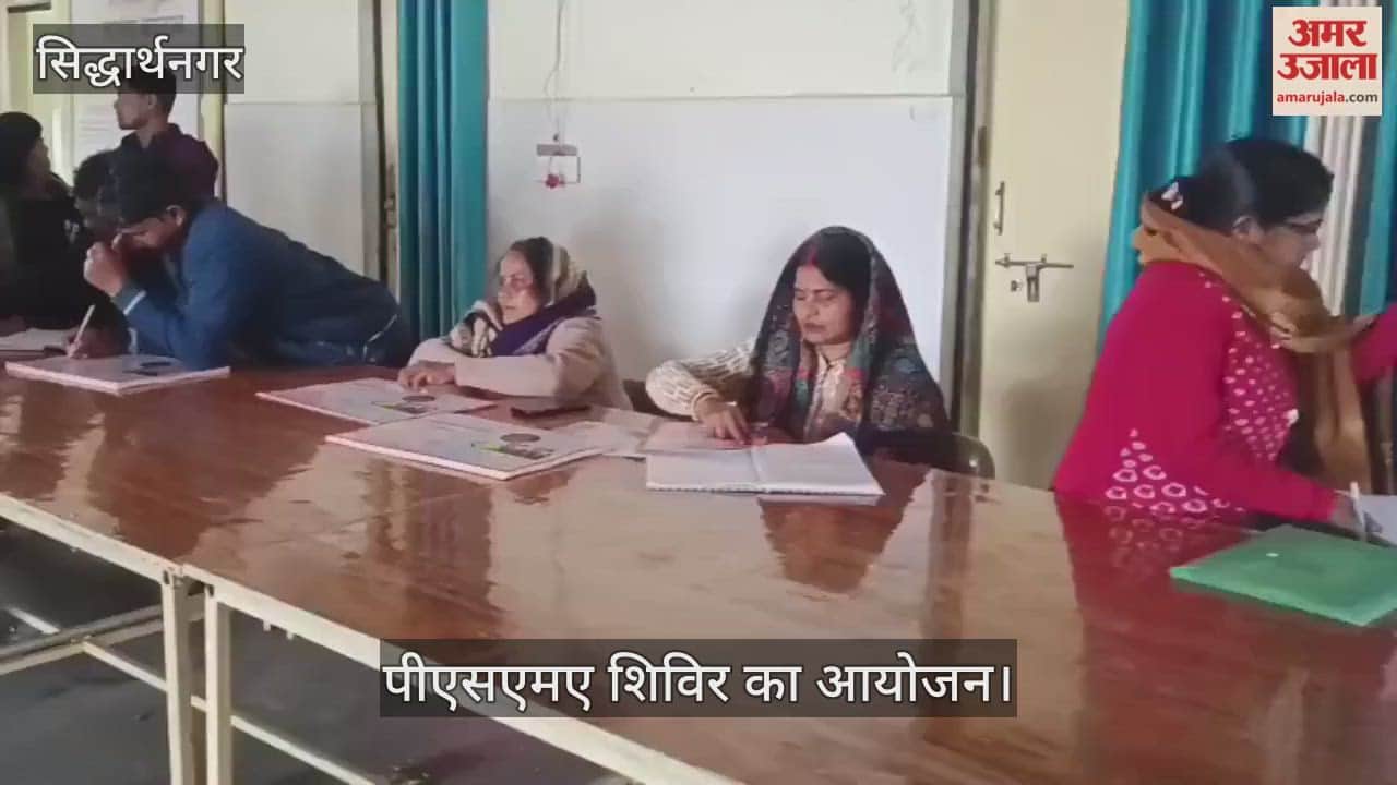 87 pregnant women were examined at the PSMA camp