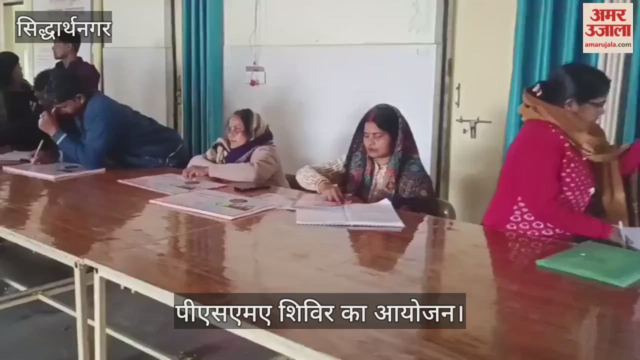 87 pregnant women were examined at the PSMA camp