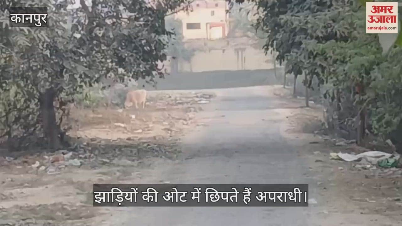 कानपुर: झाड़ियों के जंगल और अंधेरे का फायदा उठा रहे अपराधी; राहगीरों में दहशत…वारदातों का बढ़ा खतरा