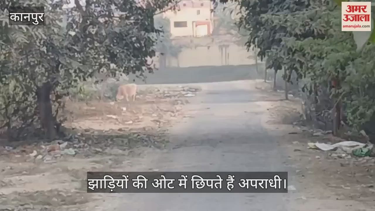कानपुर: झाड़ियों के जंगल और अंधेरे का फायदा उठा रहे अपराधी; राहगीरों में दहशत…वारदातों का बढ़ा खतरा