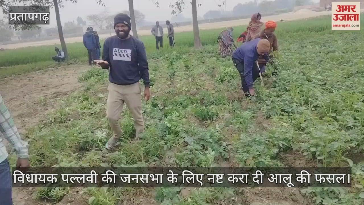 Potato crop destroyed for MLA Pallavi's public meeting