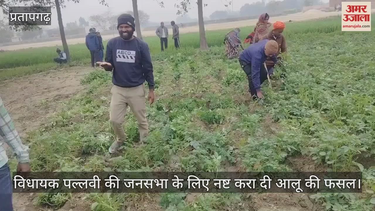 Potato crop destroyed for MLA Pallavi's public meeting