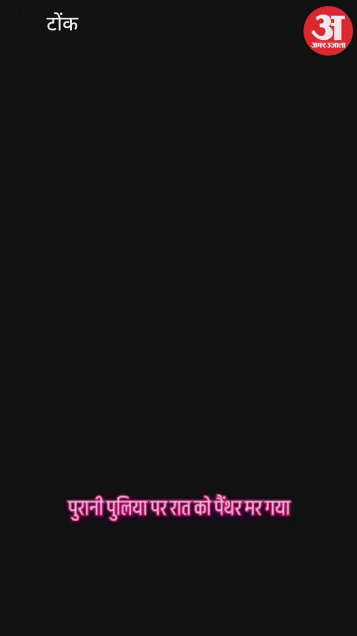 Negligence of Forest Department in Tonk Panther dies after getting entangled in wires