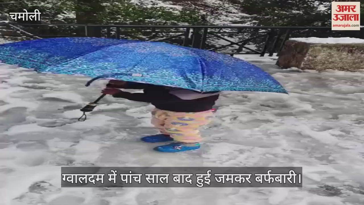 Heavy snowfall in Gwaldam after five years Chamoli Video News