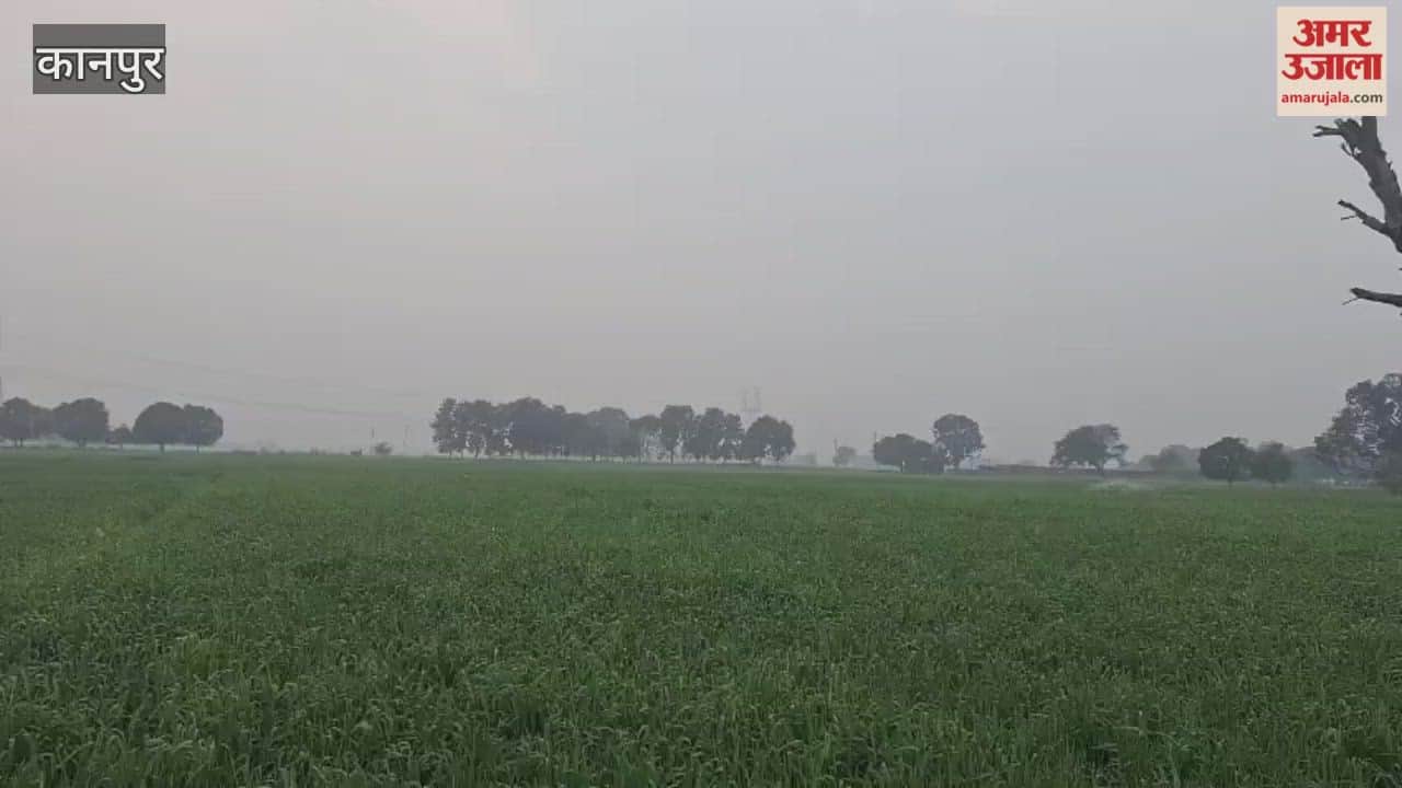 Light rain in Bhitargaon area, weather turns pleasant