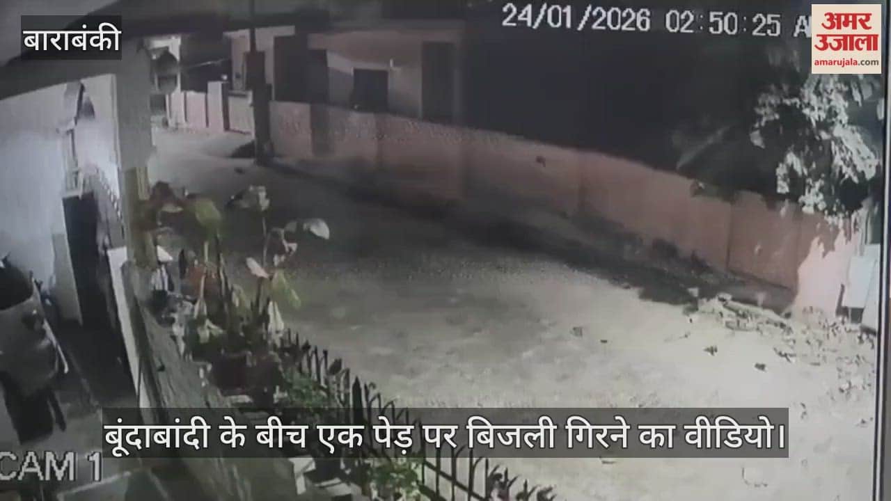 बाराबंकी में बूंदाबांदी के बीच एक पेड़ पर बिजली गिरने का वीडियो, कई घरों के बिजली मीटर जले