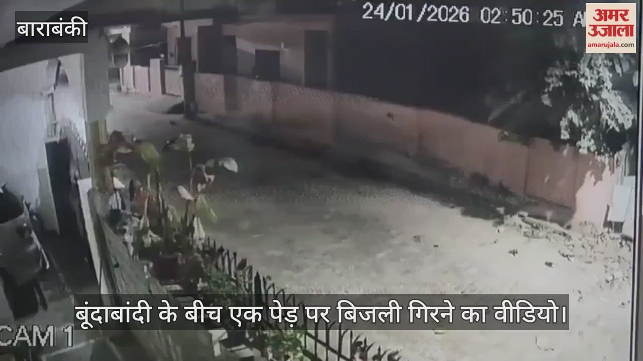 बाराबंकी में बूंदाबांदी के बीच एक पेड़ पर बिजली गिरने का वीडियो, कई घरों के बिजली मीटर जले