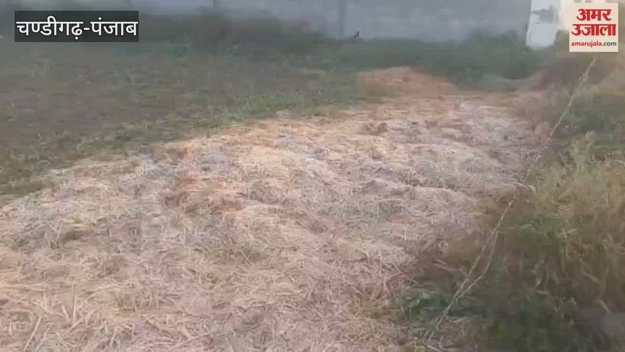 A layer of ice formed on grass in Mamdot in the morning