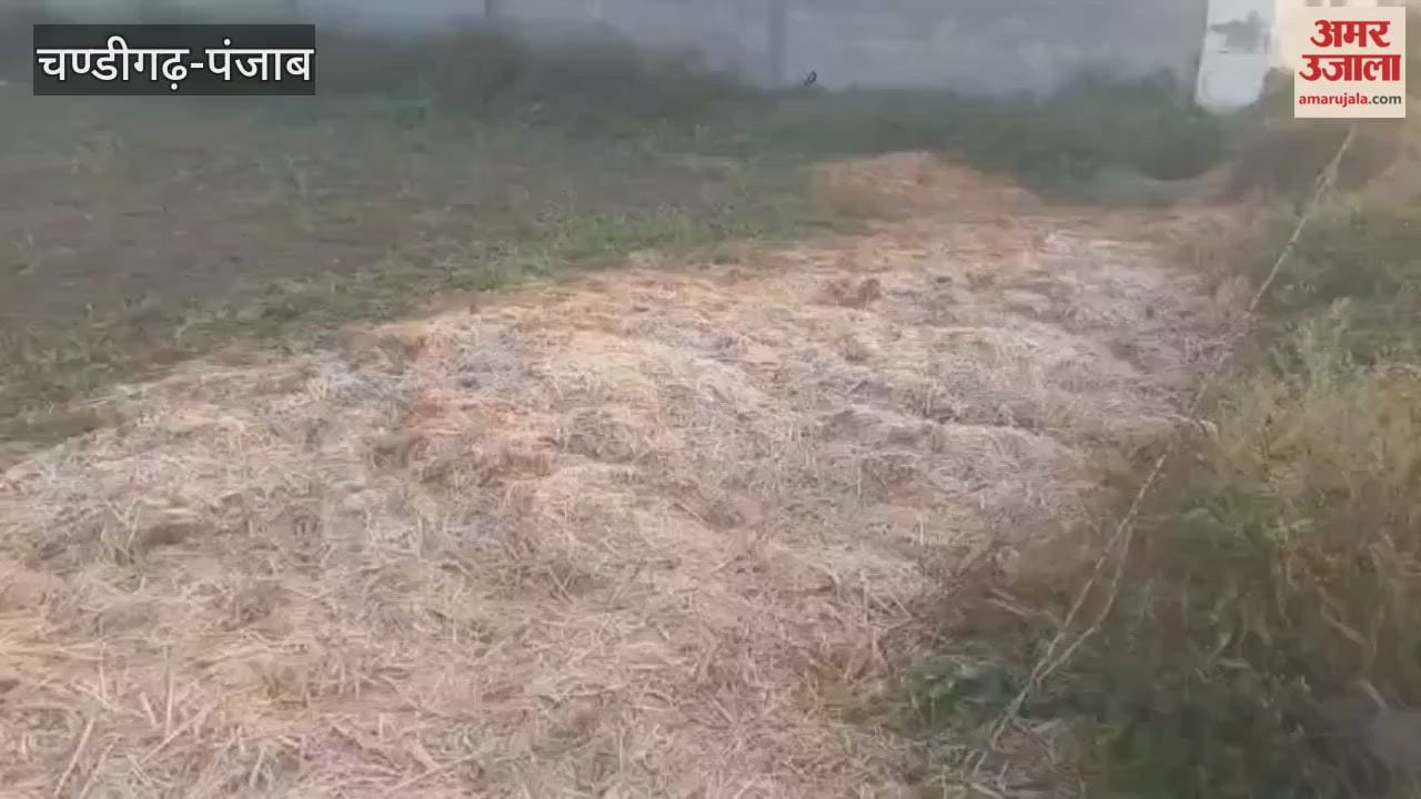 A layer of ice formed on grass in Mamdot in the morning