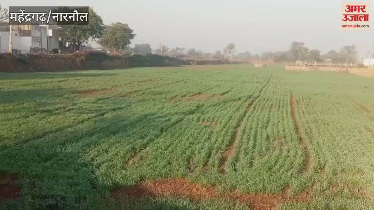 minimum temperature in Narnaul dropped to 2.6 degrees Celsius, and the cold wave intensified the chill