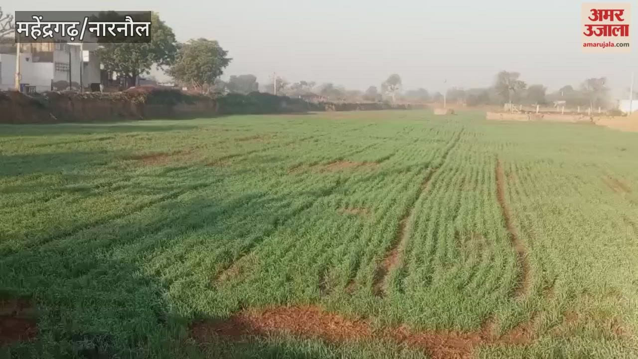 minimum temperature in Narnaul dropped to 2.6 degrees Celsius, and the cold wave intensified the chill