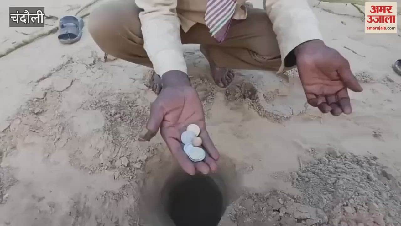 Vasant Panchami Holika taken away in procession spring breeze of Fagun begun